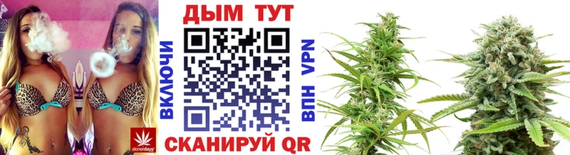 цена наркотик  kraken вход  Бошки марихуана гибрид  Далматово 